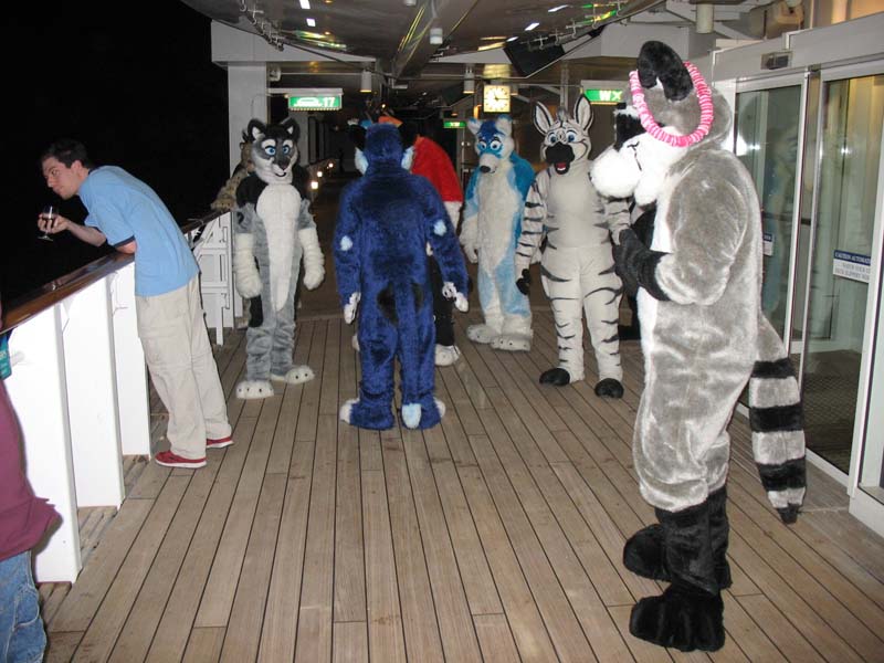 521 furries on deck.jpg